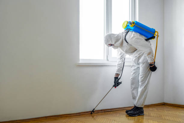 Best Termite Control Services  in Elkhart Lake, WI