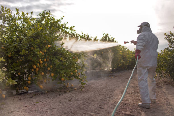 Best Flea Control Services  in Elkhart Lake, WI
