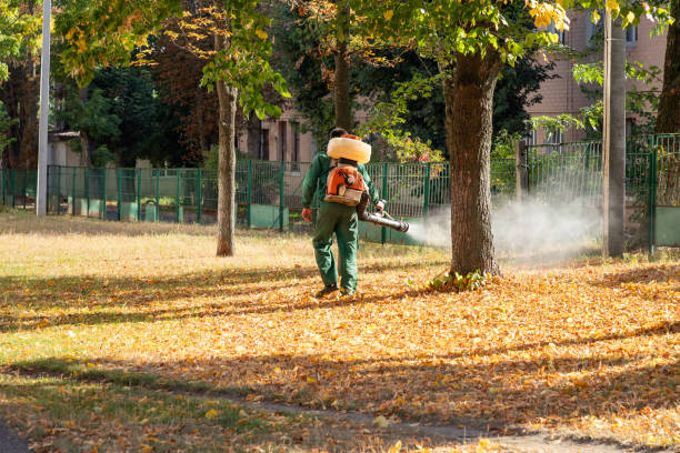 Best Wasp Removal Services  in Elkhart Lake, WI