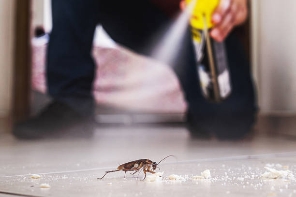 Best Wildlife Control Services  in Elkhart Lake, WI