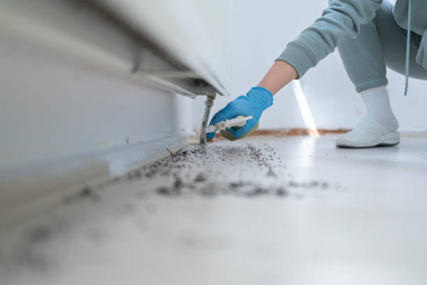 Best Best Pest Control Companies  in Elkhart Lake, WI